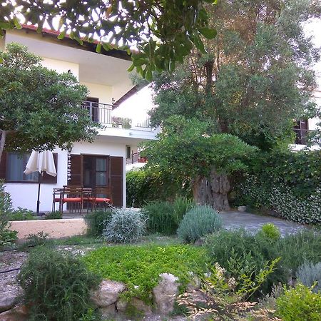 Neria Summer Houses Hanioti Exterior foto